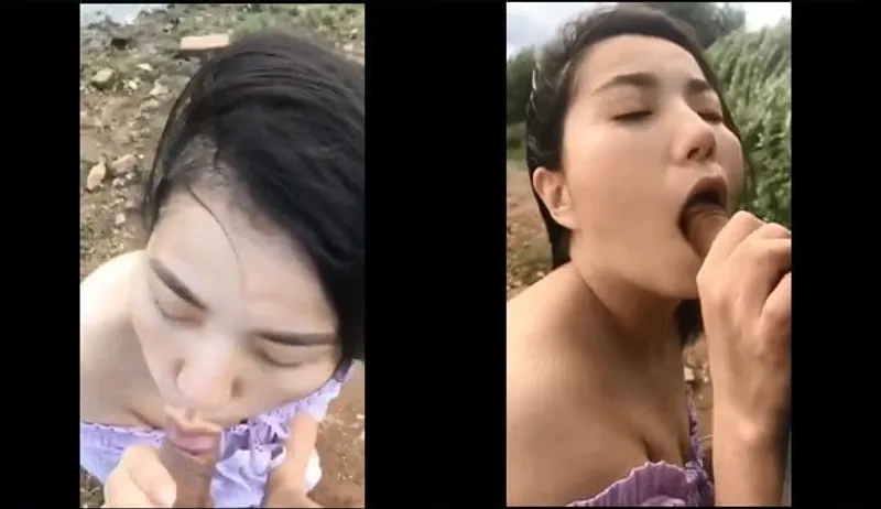 Gấu bj cho gấu bên bờ sông